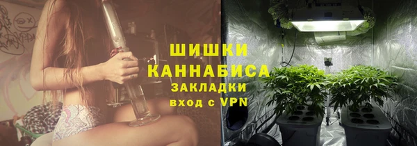 индика Арсеньев