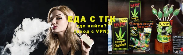 индика Арсеньев