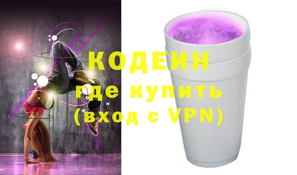 индика Арсеньев