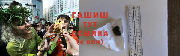 индика Арсеньев