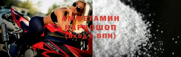 индика Арсеньев
