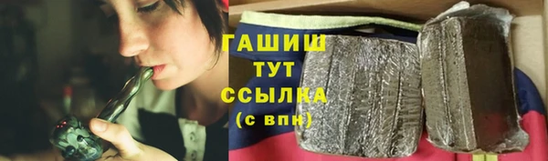 индика Арсеньев