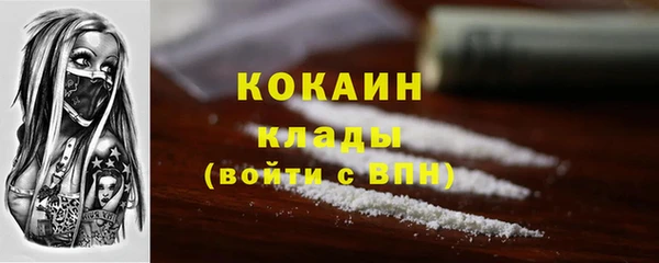индика Арсеньев