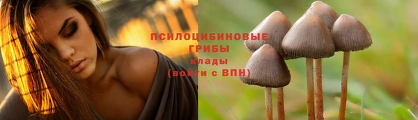 мяу мяу кристалл Аркадак