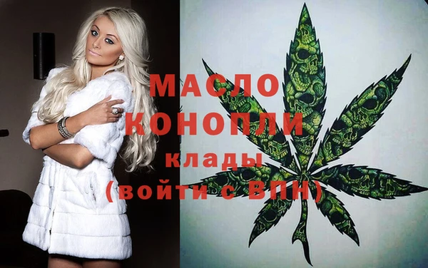 индика Арсеньев