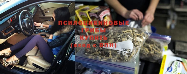 индика Арсеньев
